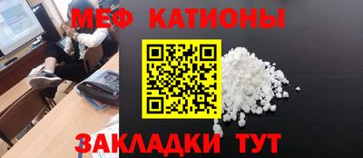 прущие грибы Моздок