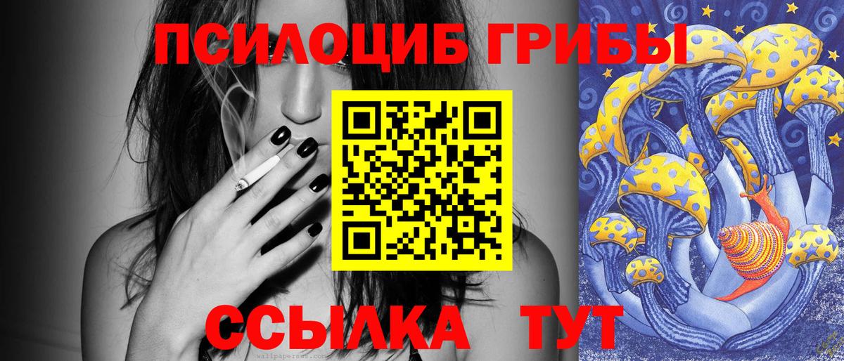 Галлюциногенные грибы прущие грибы Дербент